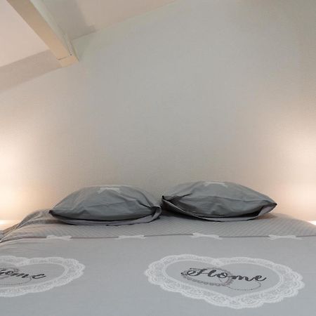 Cosy Home - 2 A 4 Pers - Aeroport - Vieux Blagnac Extérieur photo