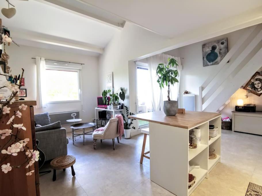 Cosy Home - 2 A 4 Pers - Aeroport - Vieux Blagnac Extérieur photo