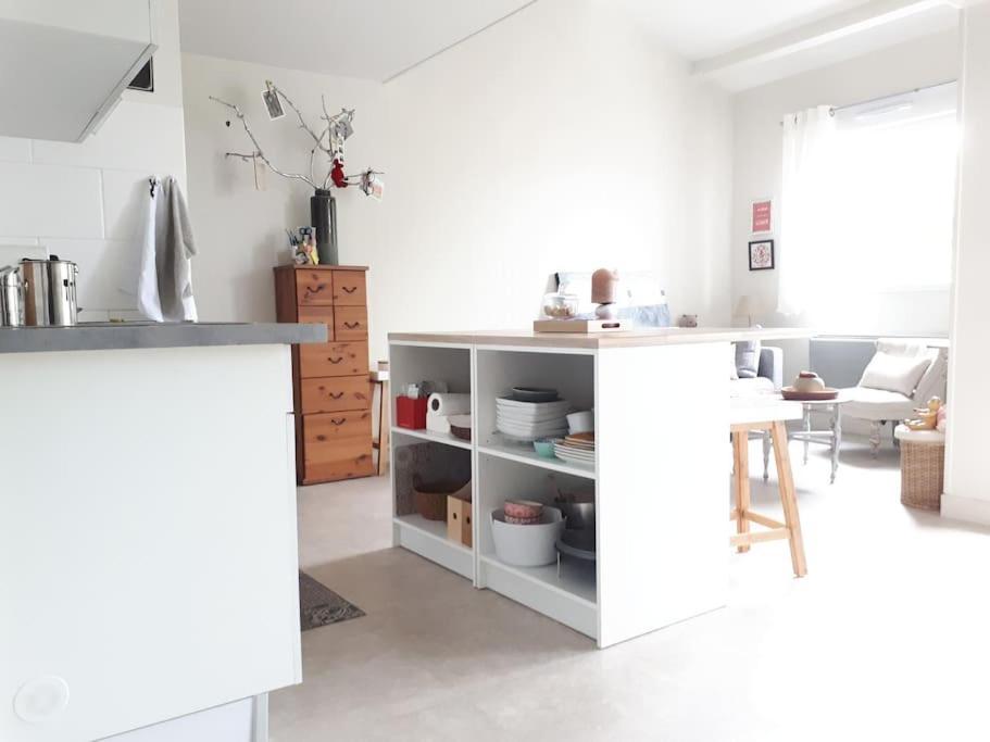 Cosy Home - 2 A 4 Pers - Aeroport - Vieux Blagnac Extérieur photo