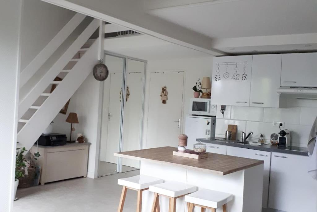 Cosy Home - 2 A 4 Pers - Aeroport - Vieux Blagnac Extérieur photo