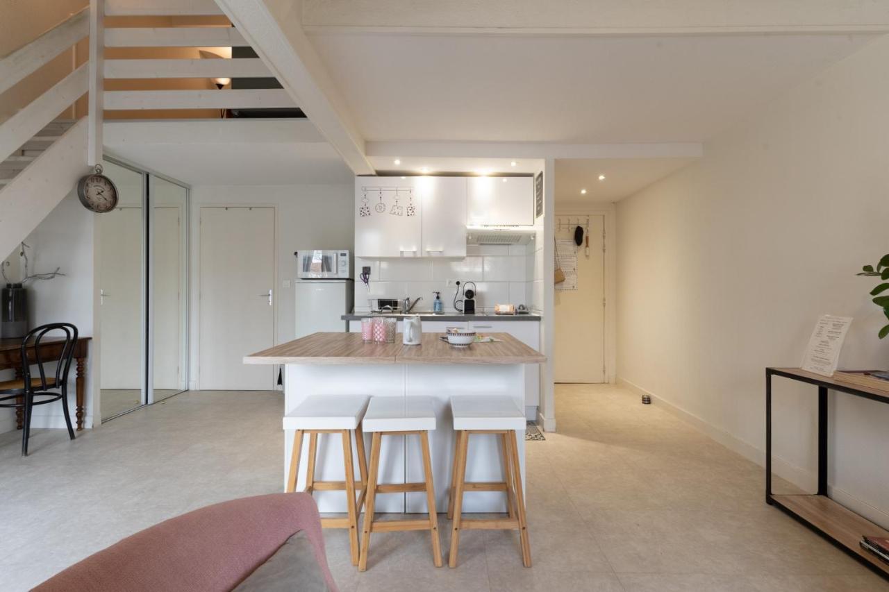 Cosy Home - 2 A 4 Pers - Aeroport - Vieux Blagnac Extérieur photo